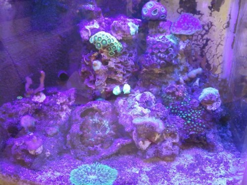 2012-08-01 10.53.40.jpg