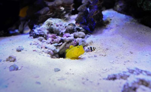 DSC_9139.jpg