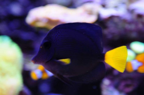 DSC_9192.jpg