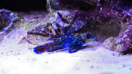 DSC_9193.jpg