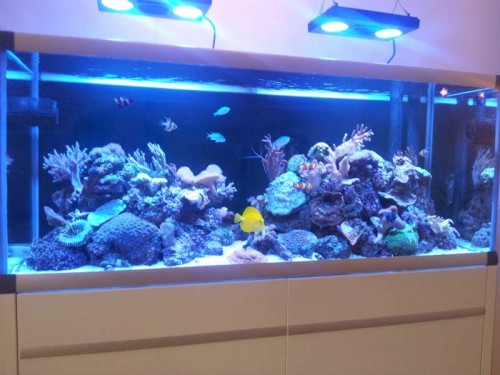 20120802_201521.jpg