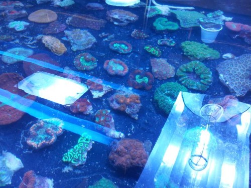 20120803_223426.jpg