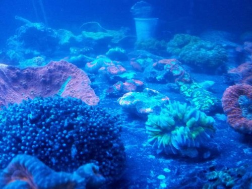 20120803_220638.jpg