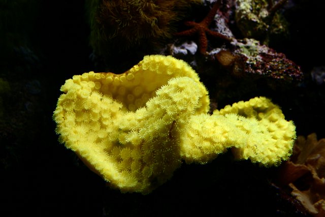 image00005.jpg