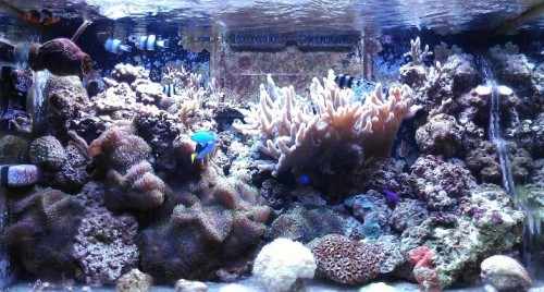 Januar 2012