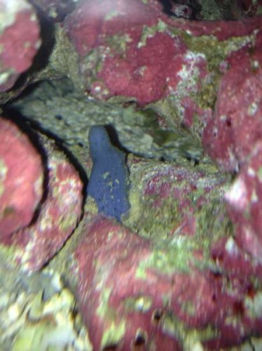 2012-08-08 21.12.30.jpg