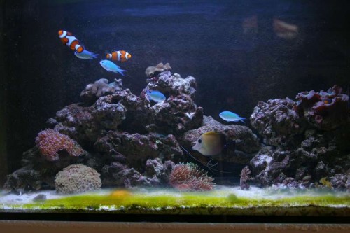 IMG_1384.JPG (44.97 KiB) Vist 484 gange 160L Herning 10-08-12