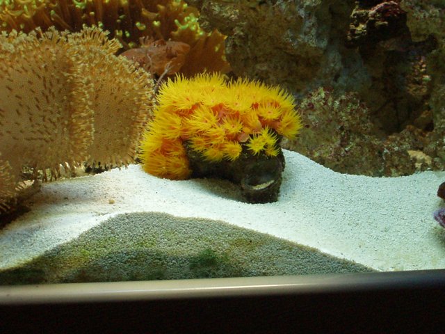 image00001.jpg