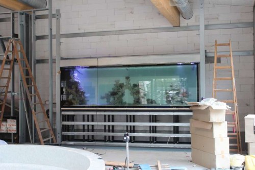 Sommer 2012 042.JPG