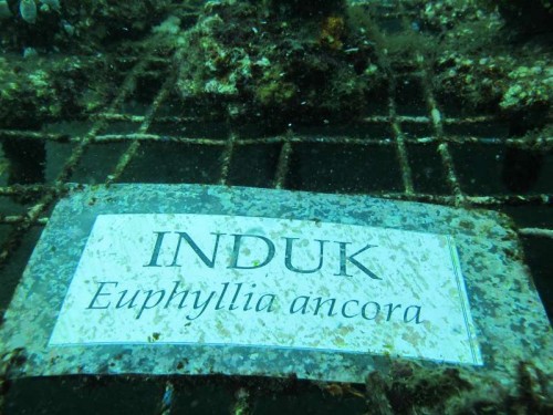 navneskilt