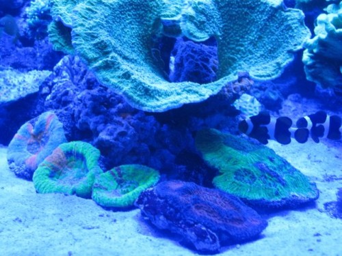 IMG_4150.jpg