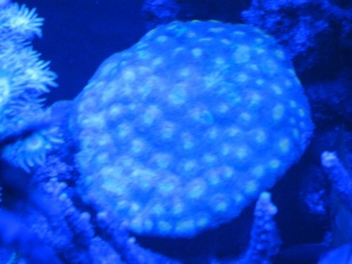 IMG_4160.jpg