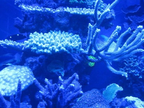 IMG_4173.jpg
