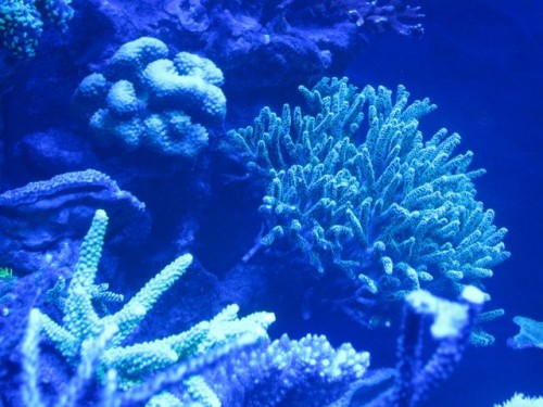 IMG_4178.jpg