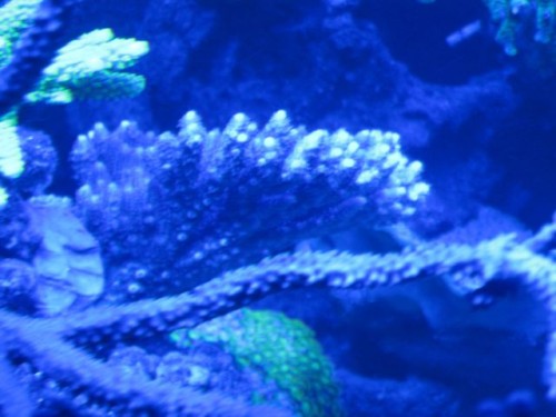 IMG_4180.jpg