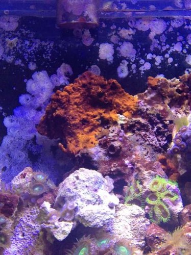 2012-08-23 10.02.16.jpg