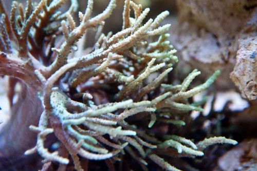 IMG_1757.jpg