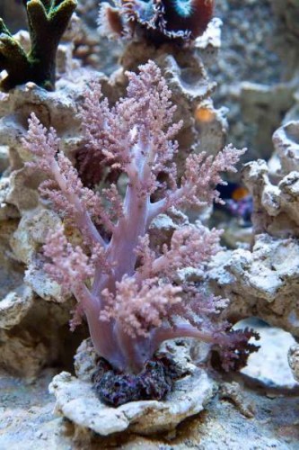 IMG_1755.jpg