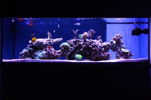 FTS