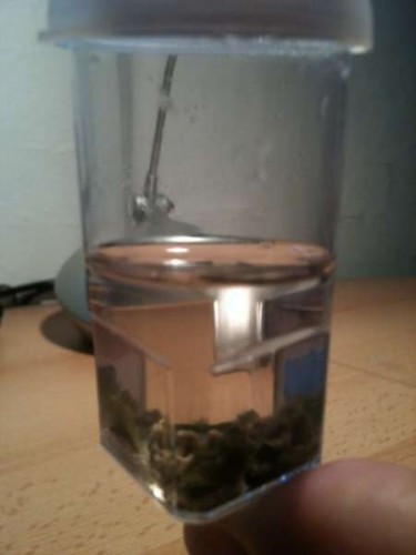 foto3.JPG