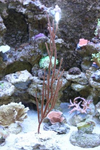 IMG_7675.jpg
