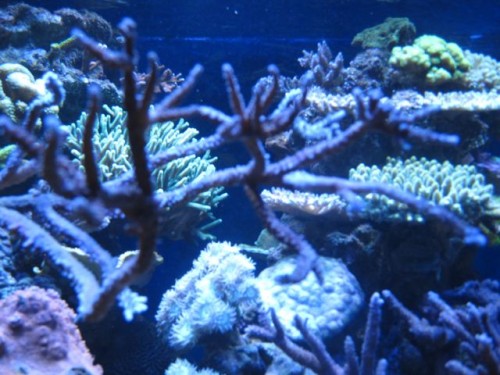 IMG_4255.jpg