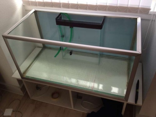 Akvariet på plads med baggrund