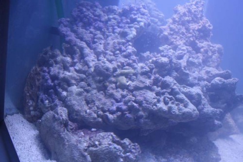 IMG_3466.JPG (42.15 KiB) Vist 373 gange Anden vinkel, andet kamera