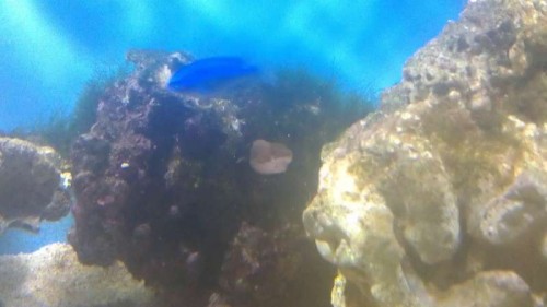 IMAG0219.jpg
