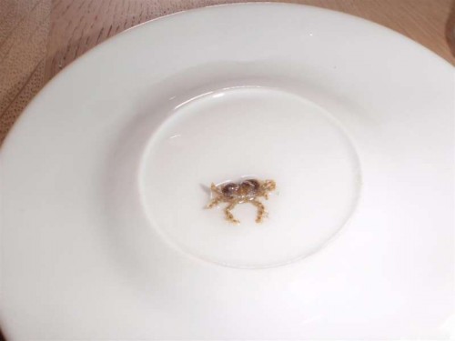 P9010209 (Large).JPG