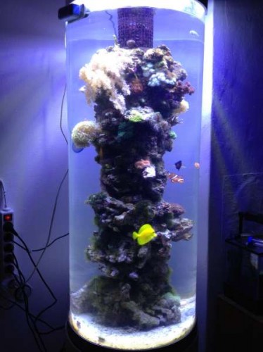 Full tank shot