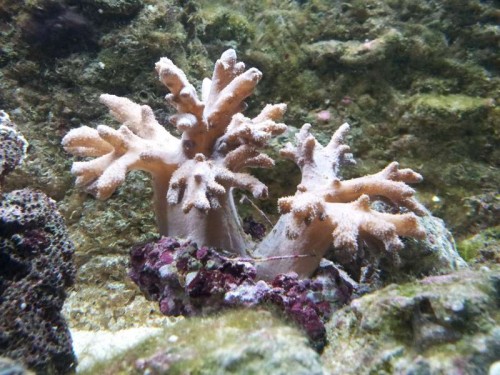 20120904_185221.jpg