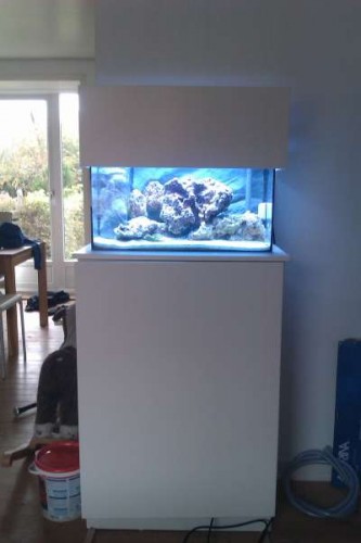 IMAG0208.jpg