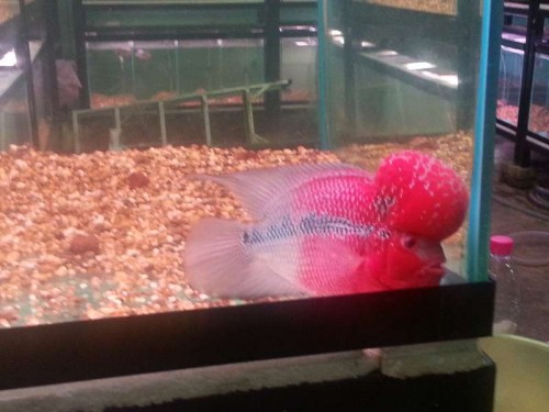 20120906_121926.jpg