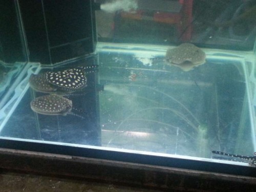 20120906_122031.jpg