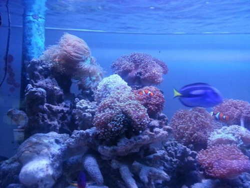 20120906_122819.jpg