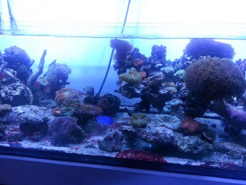 20120906_122833.jpg