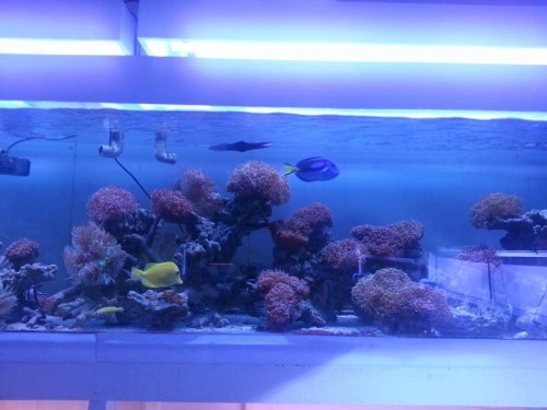20120906_122841.jpg