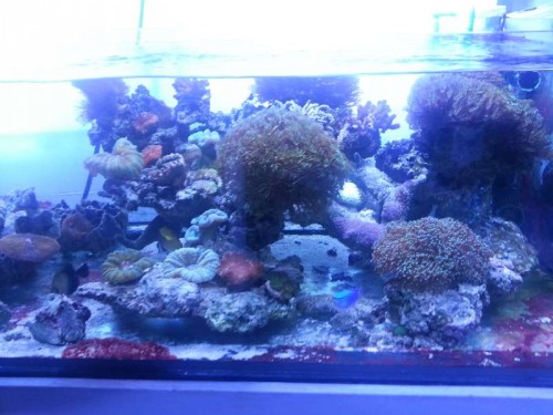 20120906_122929.jpg