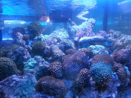 20120906_131801.jpg