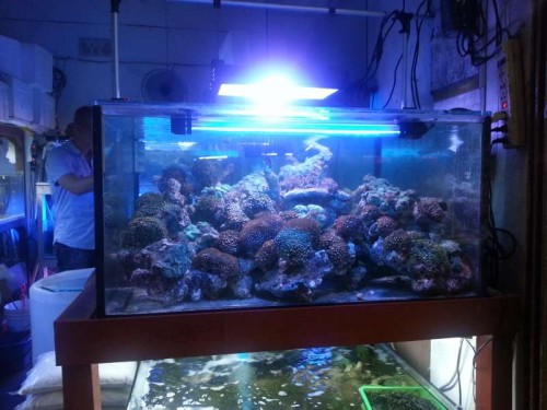 20120906_131808.jpg