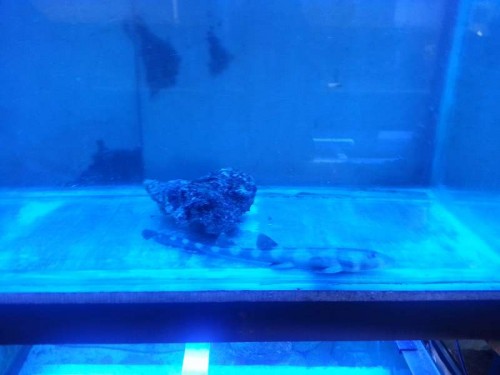 20120906_131822.jpg