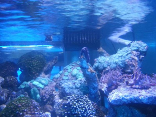 20120906_131910.jpg