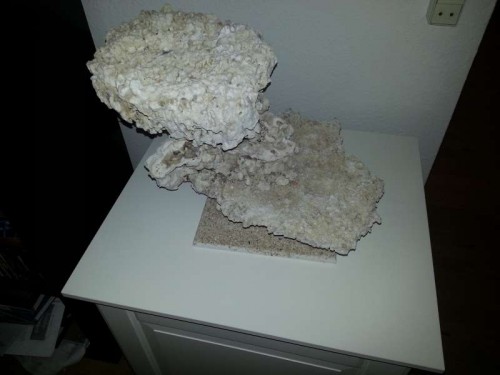 20120907_200035.jpg