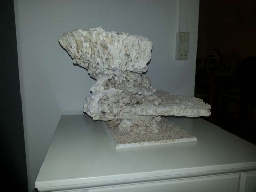 20120907_200107.jpg