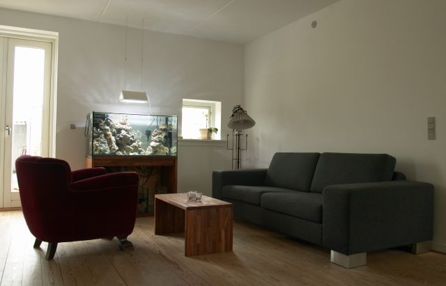 Jeg fik lige flikket et sofa bord sammen af resterne af træet fra akvarie møblet.