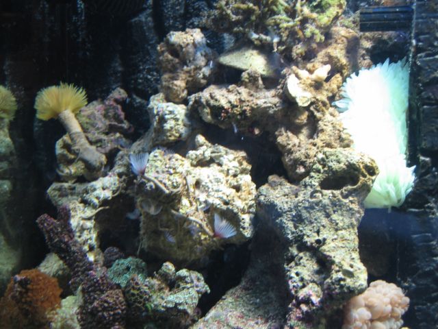 IMG_2671.JPG