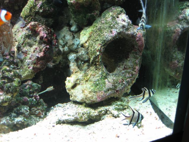 IMG_2669.JPG
