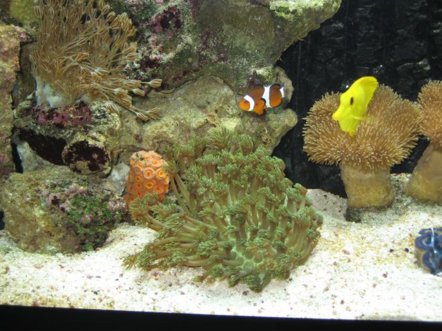 IMG_2661.JPG