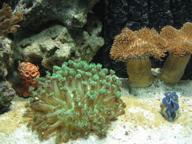 IMG_2660.JPG